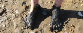 muddy-feet