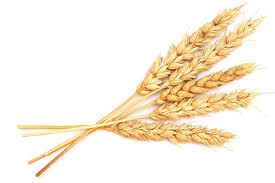 grain